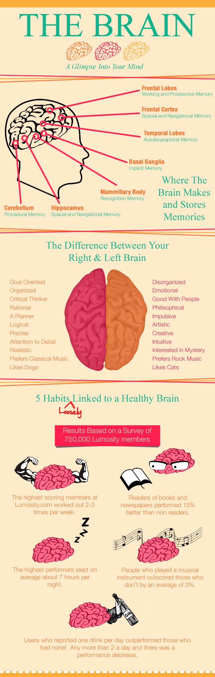 The Healthy Brain