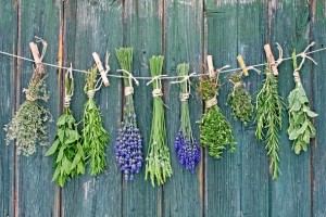 A List of Common Herbs and Their Uses